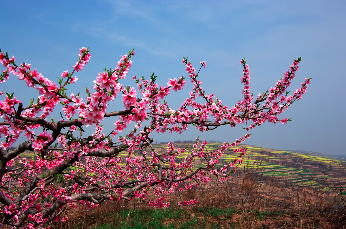 �һ���ô�����ܿ���һ������ʥ�ؾ͸�����