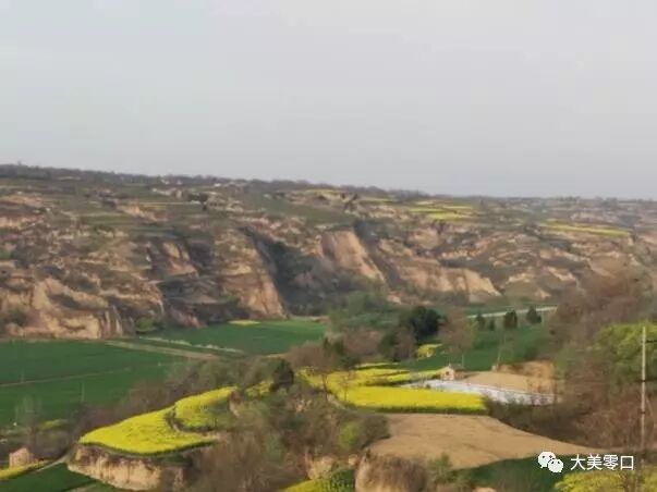 ��ܫ���� - ��ͬҫ&��ά��