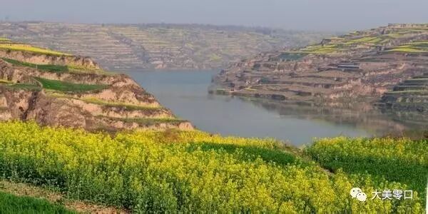 ��ܫ���� - ��ͬҫ&��ά��