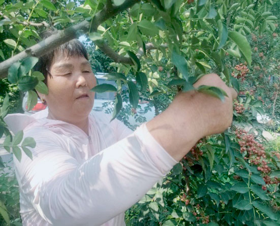 ��������ڽֵ�������ҵ�����������