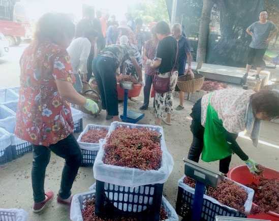 ��������ڽֵ�������ҵ�����������