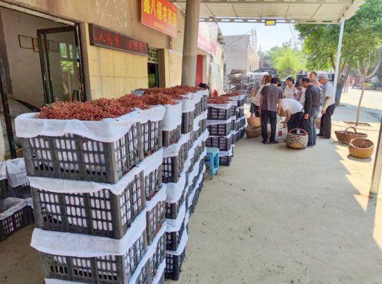 ��������ڽֵ�������ҵ�����������