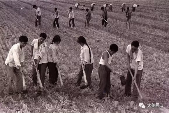 ��������ʷ_����ʡ��������������ڽֵ�������