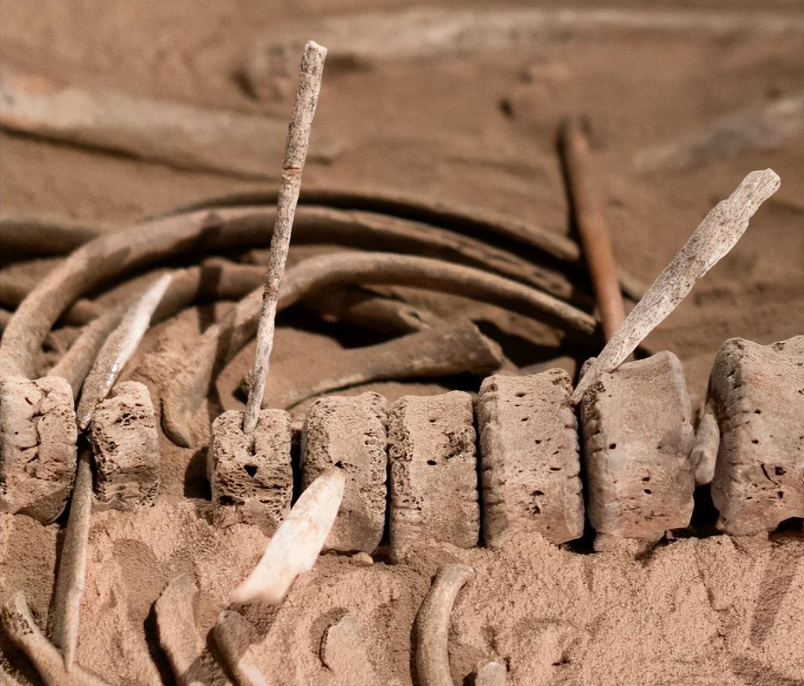 ��Ϊʲô��ȫ������һ������ ��ڹ��������֮�մ����