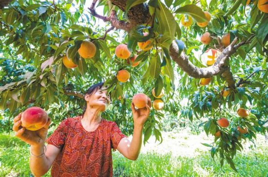 ������Ҳ�ժ�� ȷ�Ϲ����������϶Եġ��ҡ�