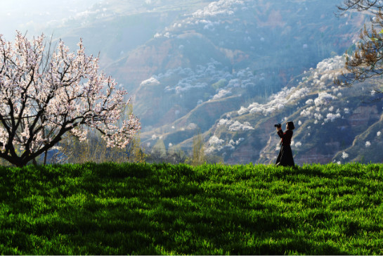 ������������ڣ��ź��������»��� ȫ����������������