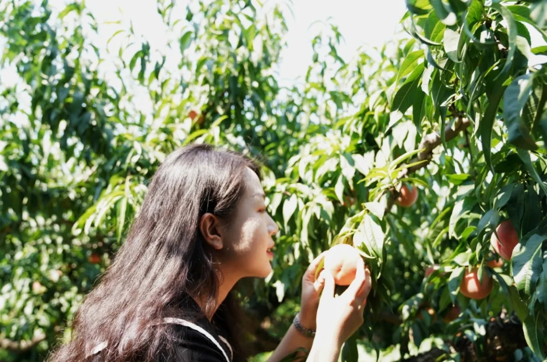 ���ա��ҡ���ָ�ϡ���������ݴ����Ҳ�ժ��