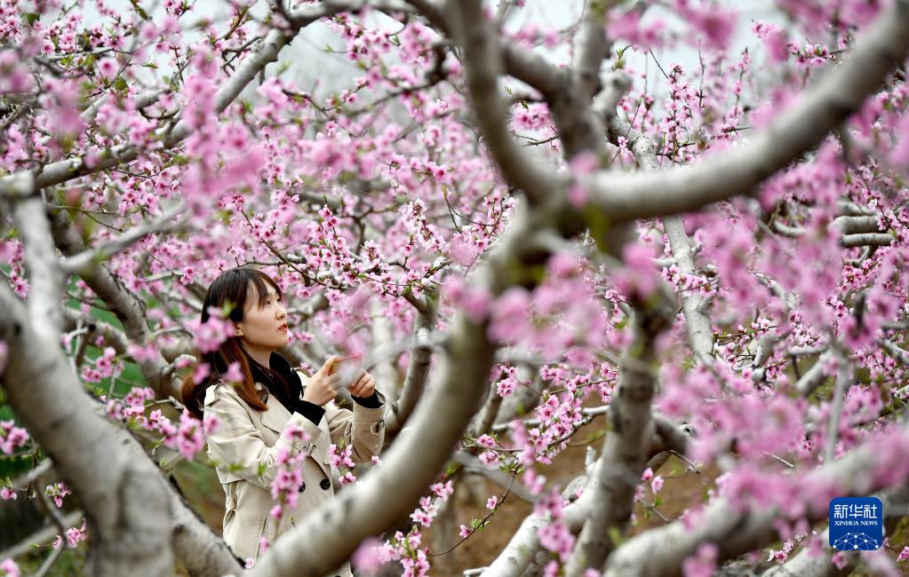 ����������ڣ�����һ�������