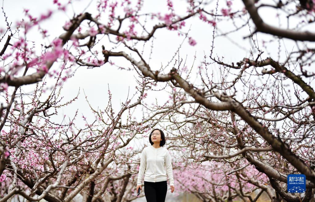 ����������ڣ�����һ�������