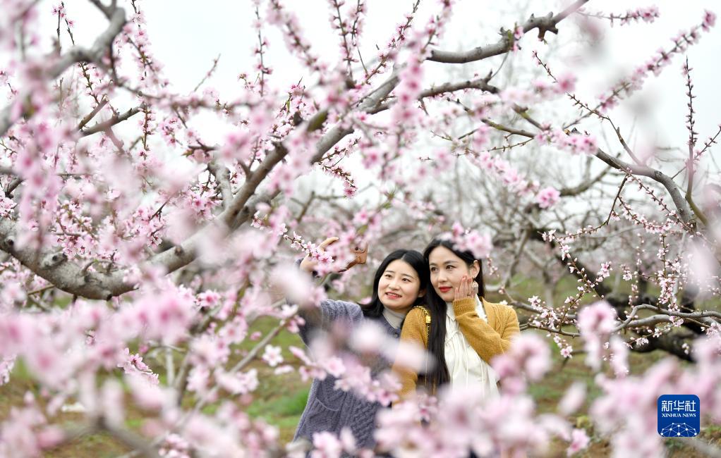 ����������ڣ�����һ�������