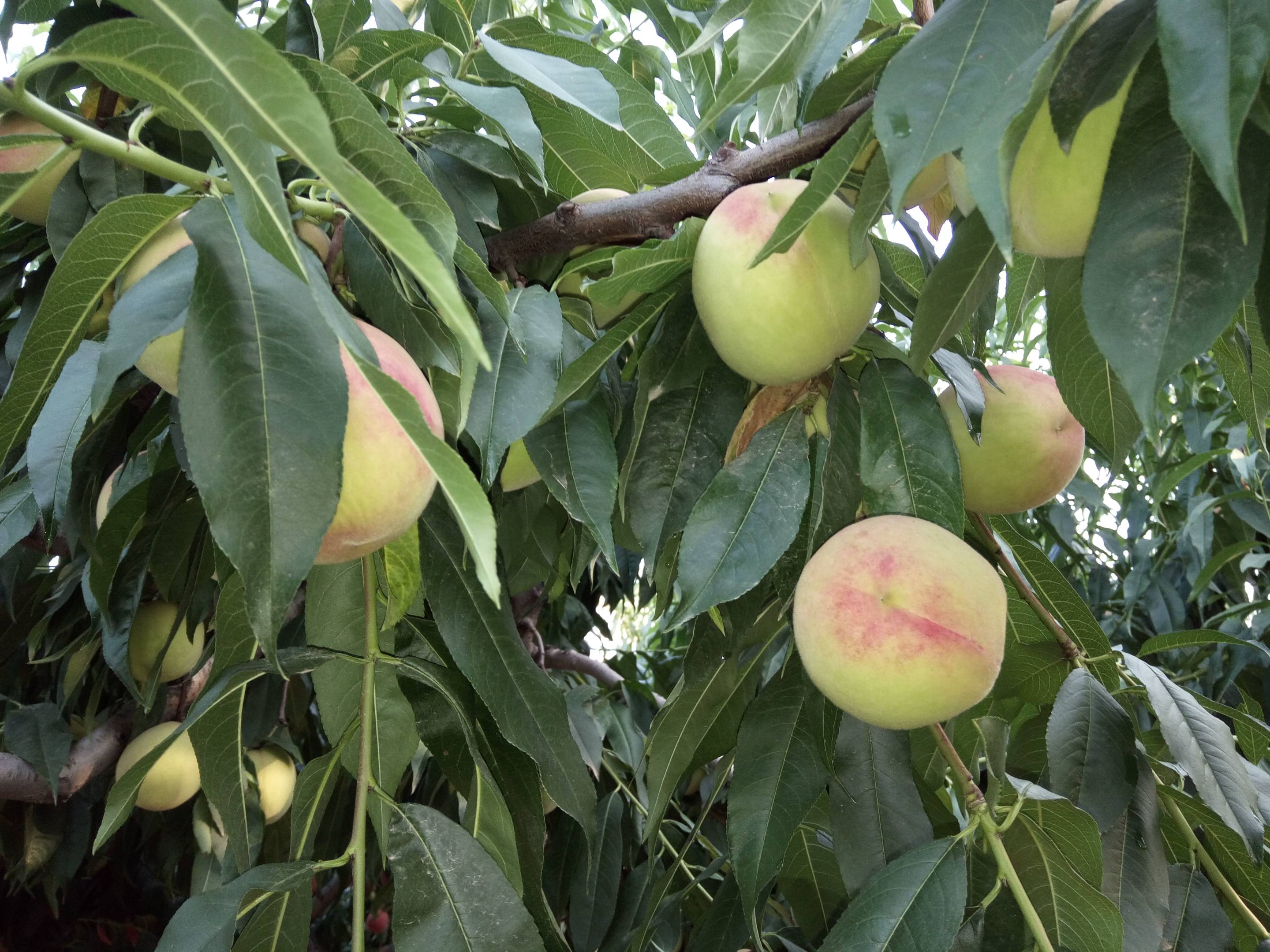 �����������,���ˮ��������