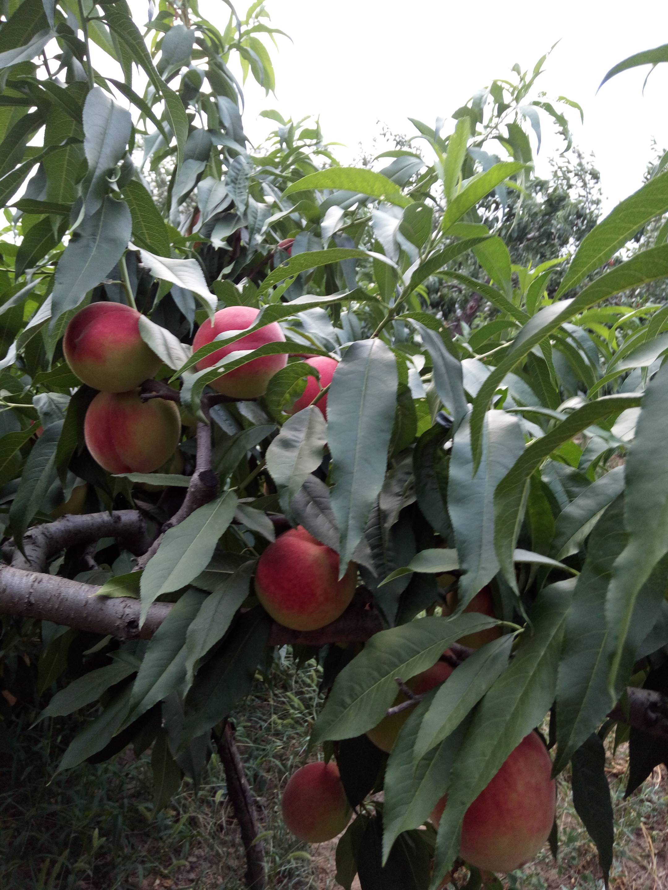 �����������,���ˮ��������