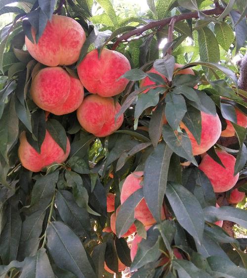 �����������,���ˮ��������