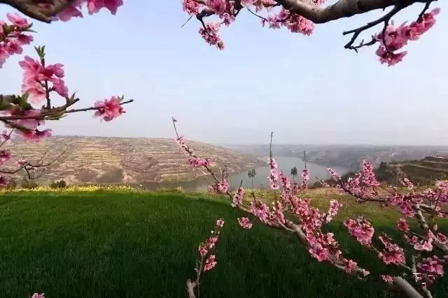 ����������������������