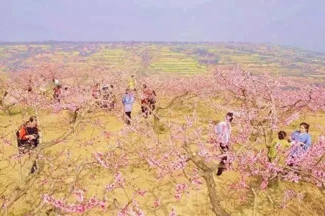 ����������������������