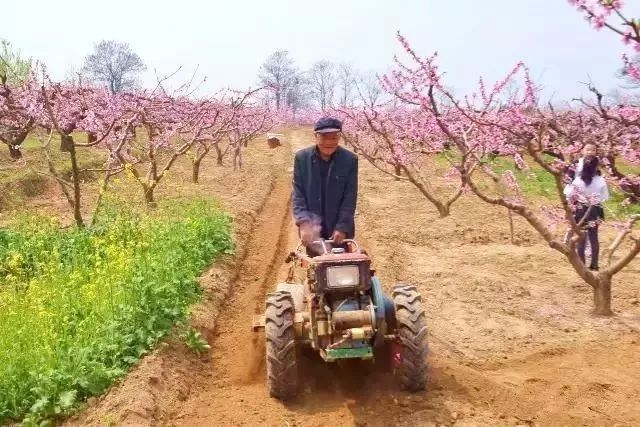 ����������������������