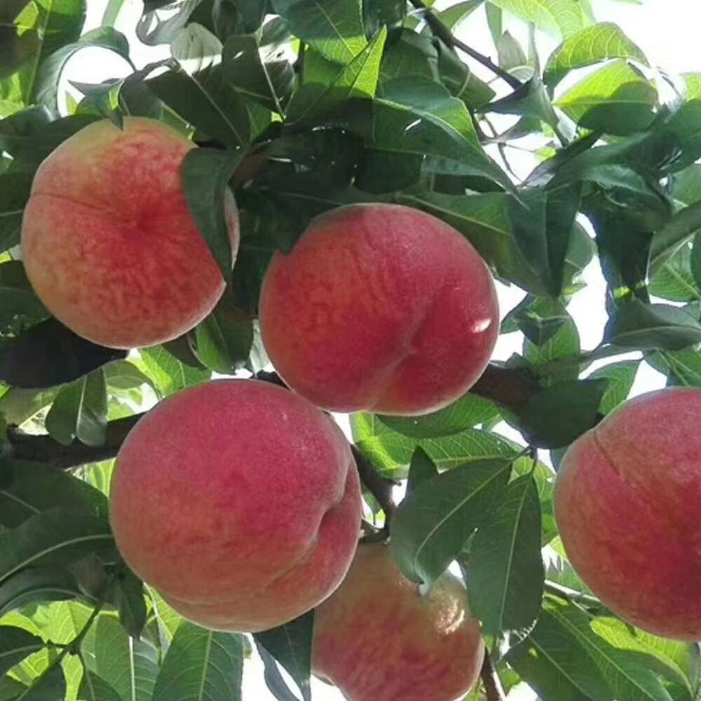 ��ڶ������ˮ��