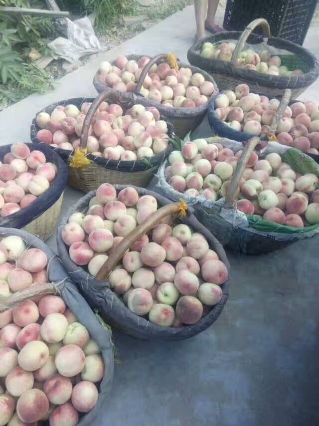 �������ƻ��,����ˮ������