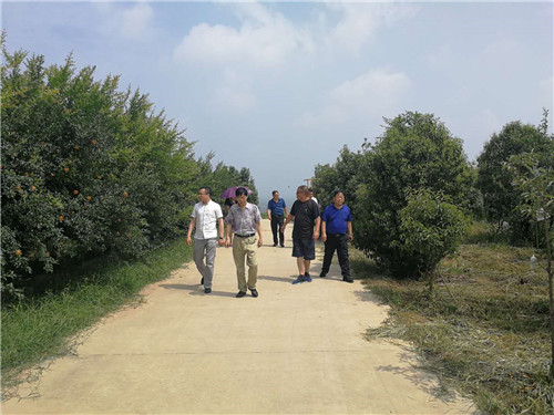 6366871808661845635793439.jpg 6366871808661845635793439.jpg