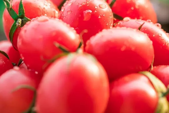 641.webp (4).jpg 641.webp (4).jpg