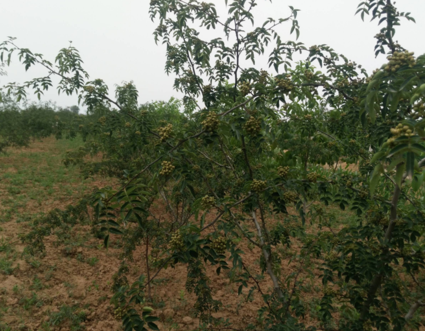 微信截图_20190612201231.png 微信截图_20190612201231.png