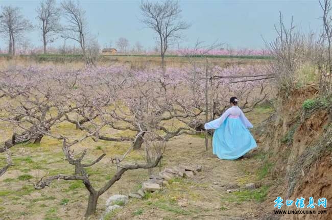 d6a4cead0e77437c94931b39b8c8d1c4.jpg d6a4cead0e77437c94931b39b8c8d1c4.jpg