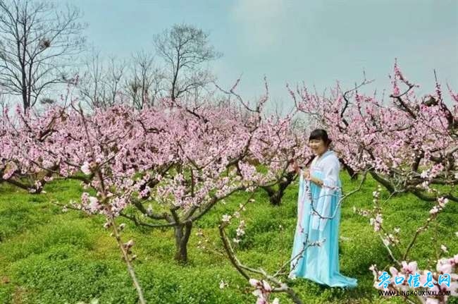 d5a37d36be9d47778507ddd39895d187.jpg d5a37d36be9d47778507ddd39895d187.jpg