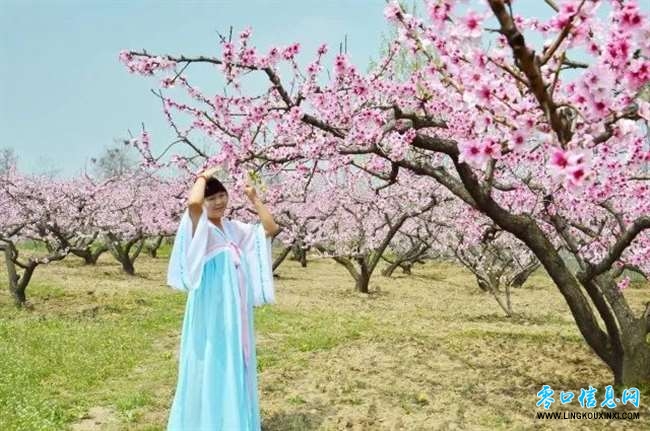 c5285d5599aa41b790e7e623e084502c.jpg c5285d5599aa41b790e7e623e084502c.jpg