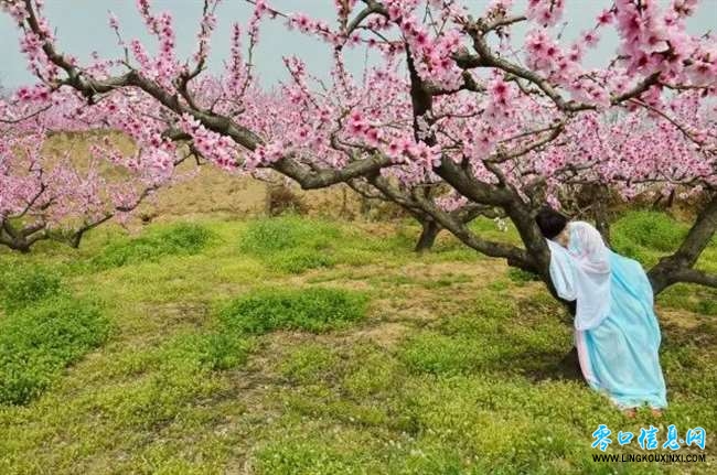 e8dbf178276e4d45938a424efb8c587a.jpg e8dbf178276e4d45938a424efb8c587a.jpg