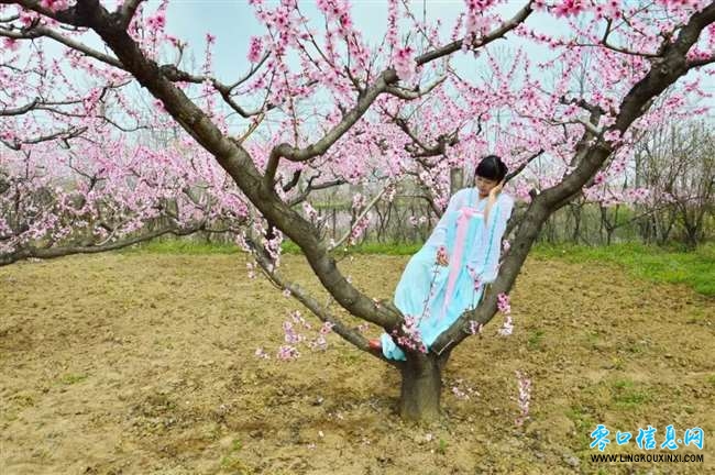 498001affb844da38e547bf3d10f5ee9.jpg 498001affb844da38e547bf3d10f5ee9.jpg