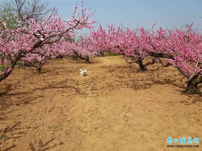 ae9bd76834054c479992f372e670285d.jpg ae9bd76834054c479992f372e670285d.jpg