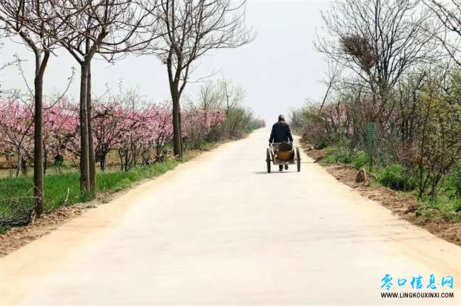 c0f903a56caa4453b8be5fb2d3dbc2b6.jpg c0f903a56caa4453b8be5fb2d3dbc2b6.jpg