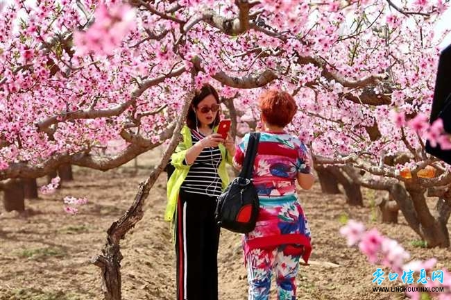 b6712a649c2c4b2f82b7d6f0f0de3a39.jpg b6712a649c2c4b2f82b7d6f0f0de3a39.jpg