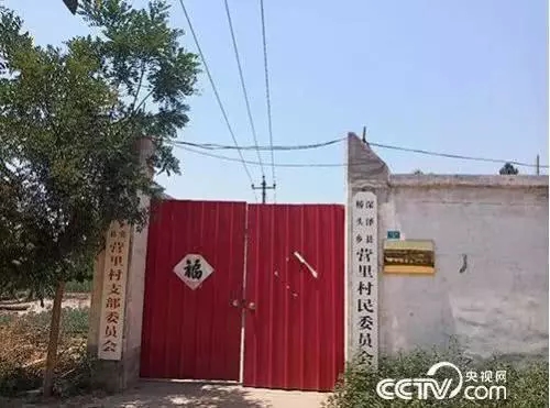 1000.webp.jpg 1000.webp.jpg