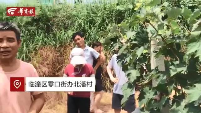 微博搜索.mp4_20210820_114024644.jpg 微博搜索.mp4_20210820_114024644.jpg
