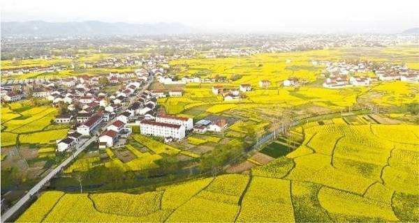 src=http___p0.itc.cn_q_70_images03_20210325_821a7d9184724300b95bc257cbd873fc.jpeg&refer=http___p0.itc.jpg src=http___p0.itc.cn_q_70_images03_20210325_821a7d9184724300b95bc257cbd873fc.jpeg&refer=http___p0.itc.jpg