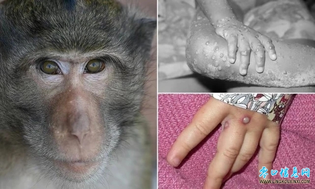 641.webp.jpg 641.webp.jpg